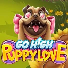Go High Puppy Love game by RubyPlay – logo hosted on Wild Robin Casino